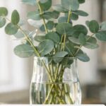 What Does ALDI Really Mean?