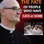 A ghost in the waves stunned whale watchers off northern Japan.