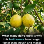 Why a Toad Might Appear in Your Home and What It Could Mean