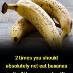 People Were Told Not To Touch This U.g.l.y Cat, But One Man Chose Not To Listen..