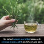 Willow Tree Chicken Salad Copycat with Bacon