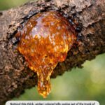 People Are Drinking This Warm Morning Mix to Slim Down Faster — But Doctors Say Timing Is Everything