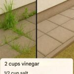 Two Critical Times When You Should Not Eat Bananas