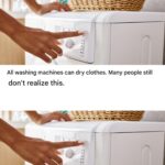 hat’s the First Word You See?