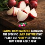 The Hidden Core of Your Feet: Why the “Short Foot” Exercise Changes Everything