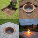 How to grow an avocado tree indoors – Best method that bear fruit