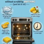 Why Potatoes Should Always Be Stored in the Dark