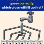 The Mystery Kitchen Gadget My Neighbor Nearly Threw Away