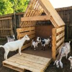 White cranberry strawberry juice