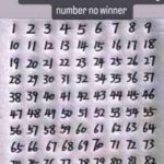 Put Bay Leaves in Salt: 7 Traditional Uses You Should Know