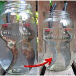 Easy Garden Bed Using Crates