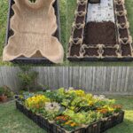 How to Easily Clean & Sharpen Your Pruning Shears