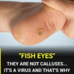 How to Plant Carrots with Seed Ice Cubes for Neat Rows and Strong Growth