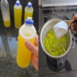 How to Plant Carrots with Seed Ice Cubes for Neat Rows and Strong Growth