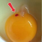 The prediction attributed to Nostradamus that many relate to the fortune of some signs in 2026