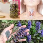 19 Easy Homemade Seasonings