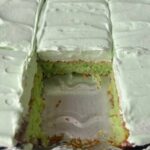 You Open the Fridge and See It Full of Watermelon