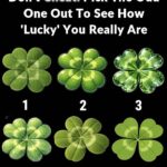 I Didn’t Expect to Love This