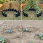 Signs That Your Heart Is in Serious Dan.ger