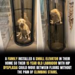 Homemade Ketchup (Old-School Style)