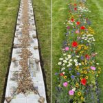 Most homes are designed for people. But in one house in South Carolina, a renovation ended up helping someone a little furrier.