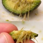 The Banana Trick and Other Acts of Self-Checkout Thievery