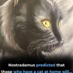 How to Successfully Cultivate Potatoes in Soil Bags: A Detailed Guide