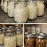 Why your cat headbutts you and what it means