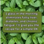 Whimsical Easter Carrot Patch Berries