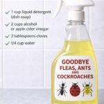 These are the consequences of sleeping with…