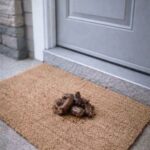 The History of This Mysterious Cleaning Item Is Finally Uncovered