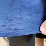 When Neighbor Conflicts Cross the Line