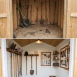 Over 60? Try These 3 Dried Fruits Before Bed for a More Restful Night Routine