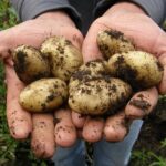 I got back early from a trip, my wife wasn’t home. I called her—she said she was in our bed.