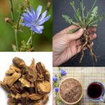 Rustic Rosemary Artisan Bread Recipe