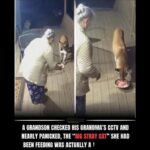 The Role of Herbal Leaves in Traditional Wellness