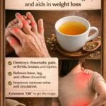 Direct-Sow Flowers in April: 11 Seeds You Can Plant Outside Now