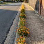 No Bake Layered Cream Dessert