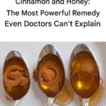 Seeds in the Sidewalk