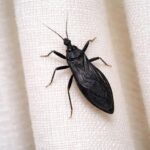 Creative Ideas to Transform an Empty Space (No Tables, Chairs, or Plants Needed)