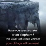 What To Do If Bitten By An Assassin Bug