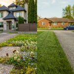 Why Are We Covering Farmland… When We Could Use This Instead?