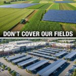 one day you’re young and wild the next you’re excited about new leaves