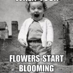 one day you’re young and wild the next you’re excited about new leaves