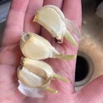 From Bare Bamboo to a High-Yielding Live Cucumber Trellis