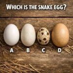 Basket Gardening Actually Works