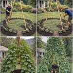 You Wait Weeks… Then Suddenly Everything Blooms