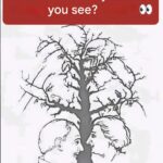 I discovered this in our new kitchen: what is it?