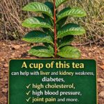 How to Make Perfect Scrambled Eggs Every Time: Soft, Creamy & Delicious