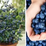 Find The Missing Cake Piece To Reveal What Kind Of Woman You Are